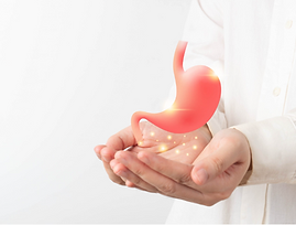 Screen Shot 2022-12-22 at 3.26.16 PM 2.png